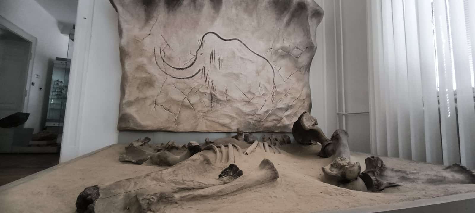 Východoslovenské múzeum – expozícia Príroda Karpát