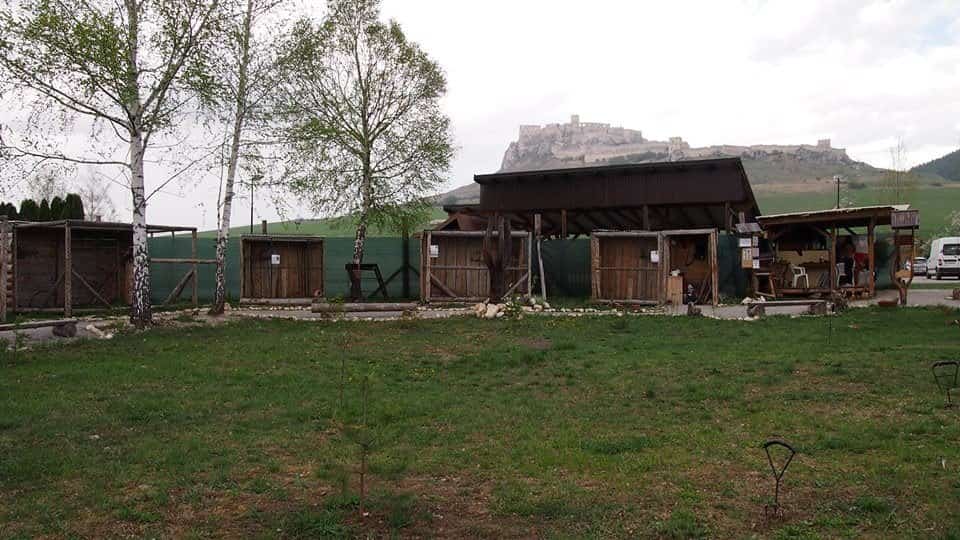 Sokoliareň pod Spišským hradom