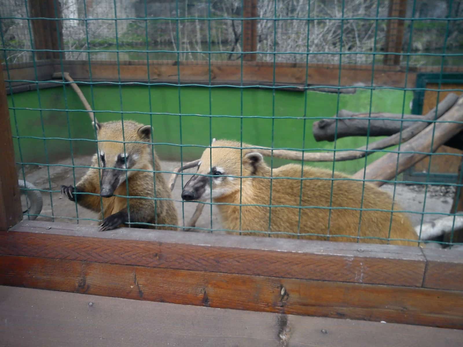 ZOO Spišská Nová Ves