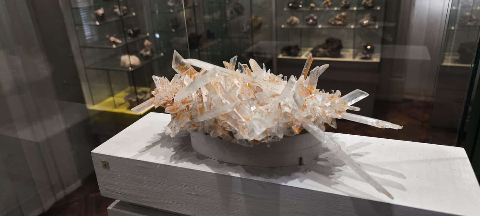 Východoslovenské múzeum – expozícia Príroda Karpát