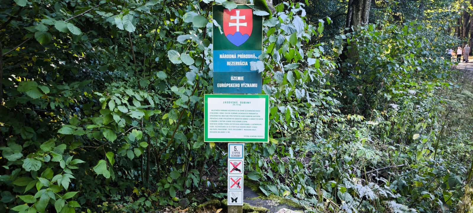 Národná prírodná rezervácia Jasovské dubiny