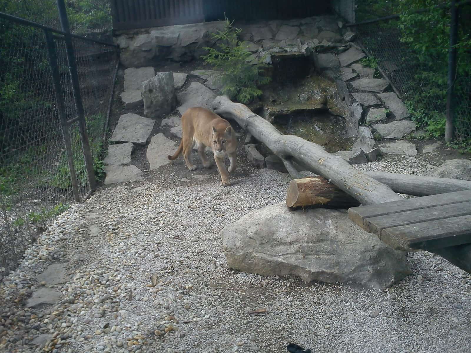 ZOO Spišská Nová Ves
