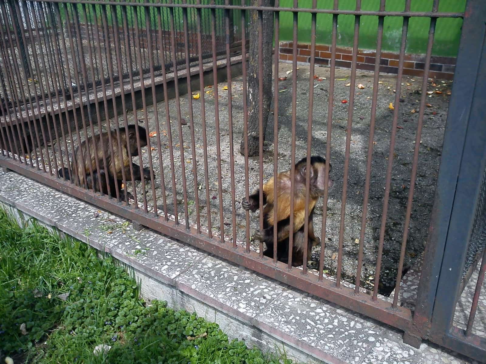 ZOO Spišská Nová Ves