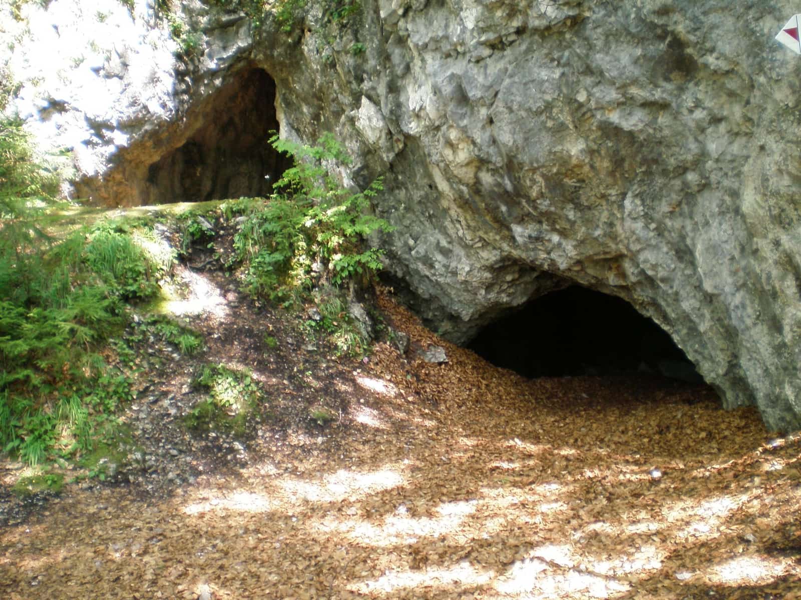 Šarkanová diera