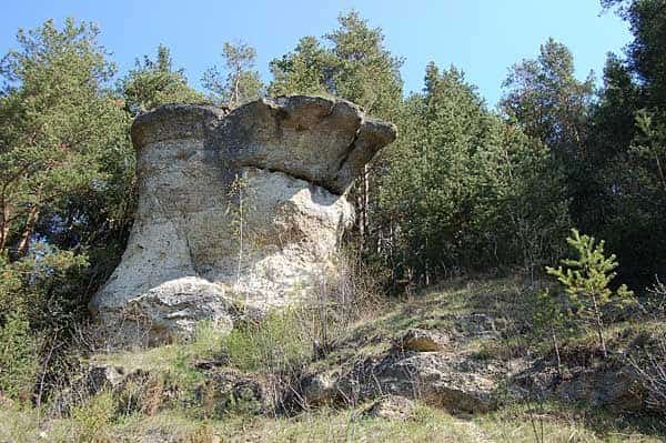 Ľupčiansky skalný hríb