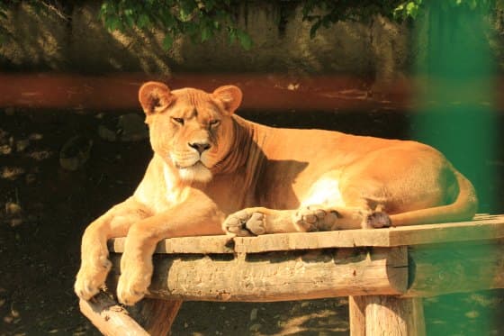 ZOO Košice