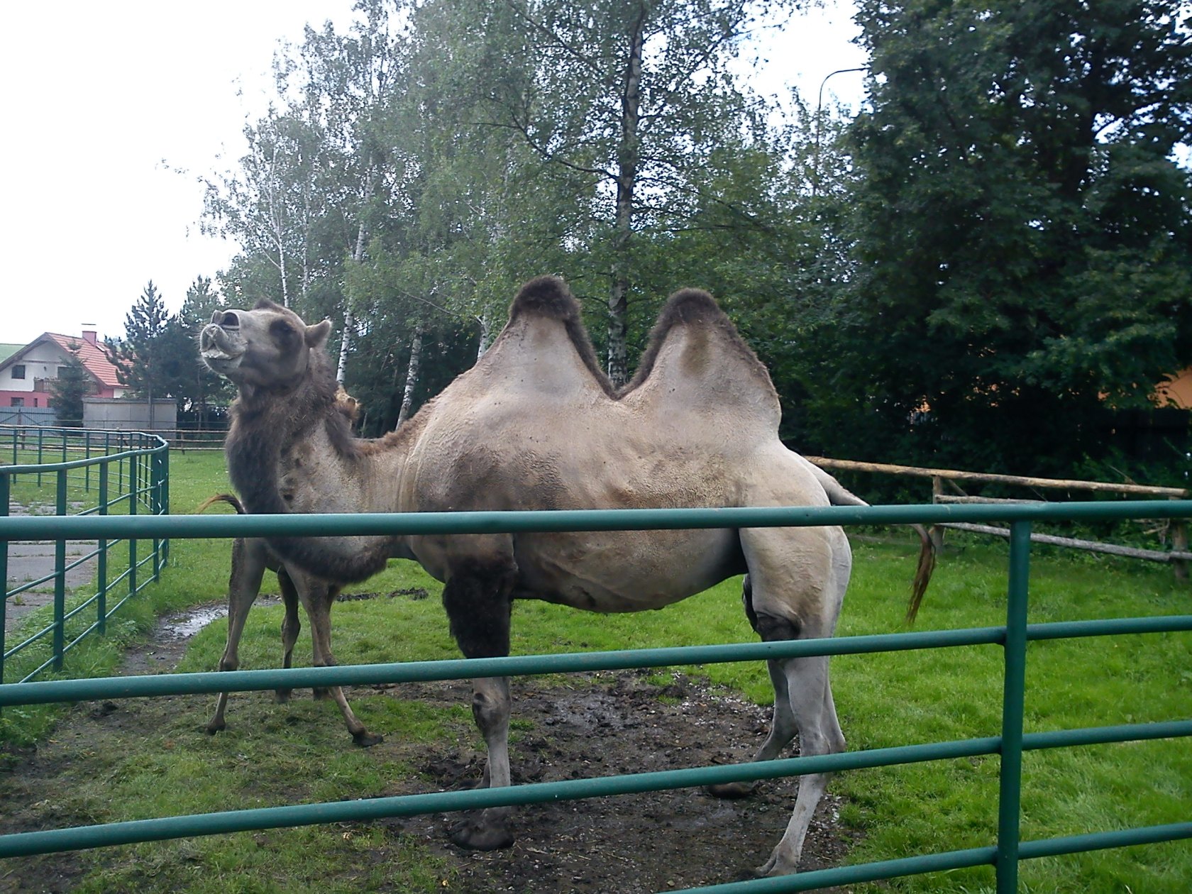 ZOO Spišská Nová Ves