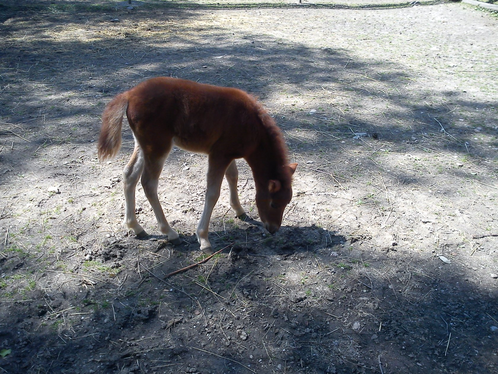 ZOO Spišská Nová Ves