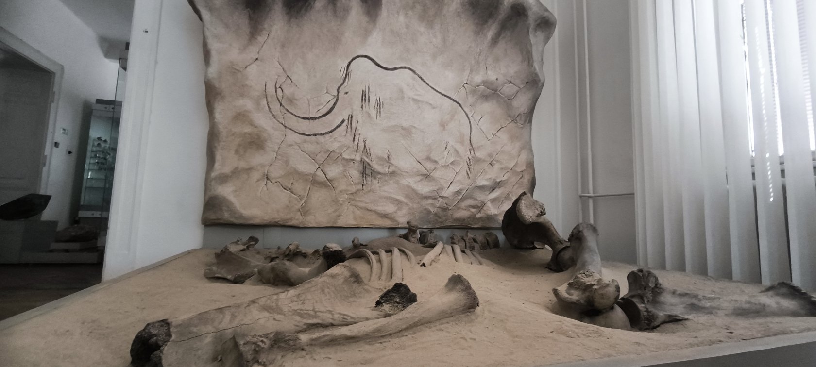 Východoslovenské múzeum – expozícia Príroda Karpát