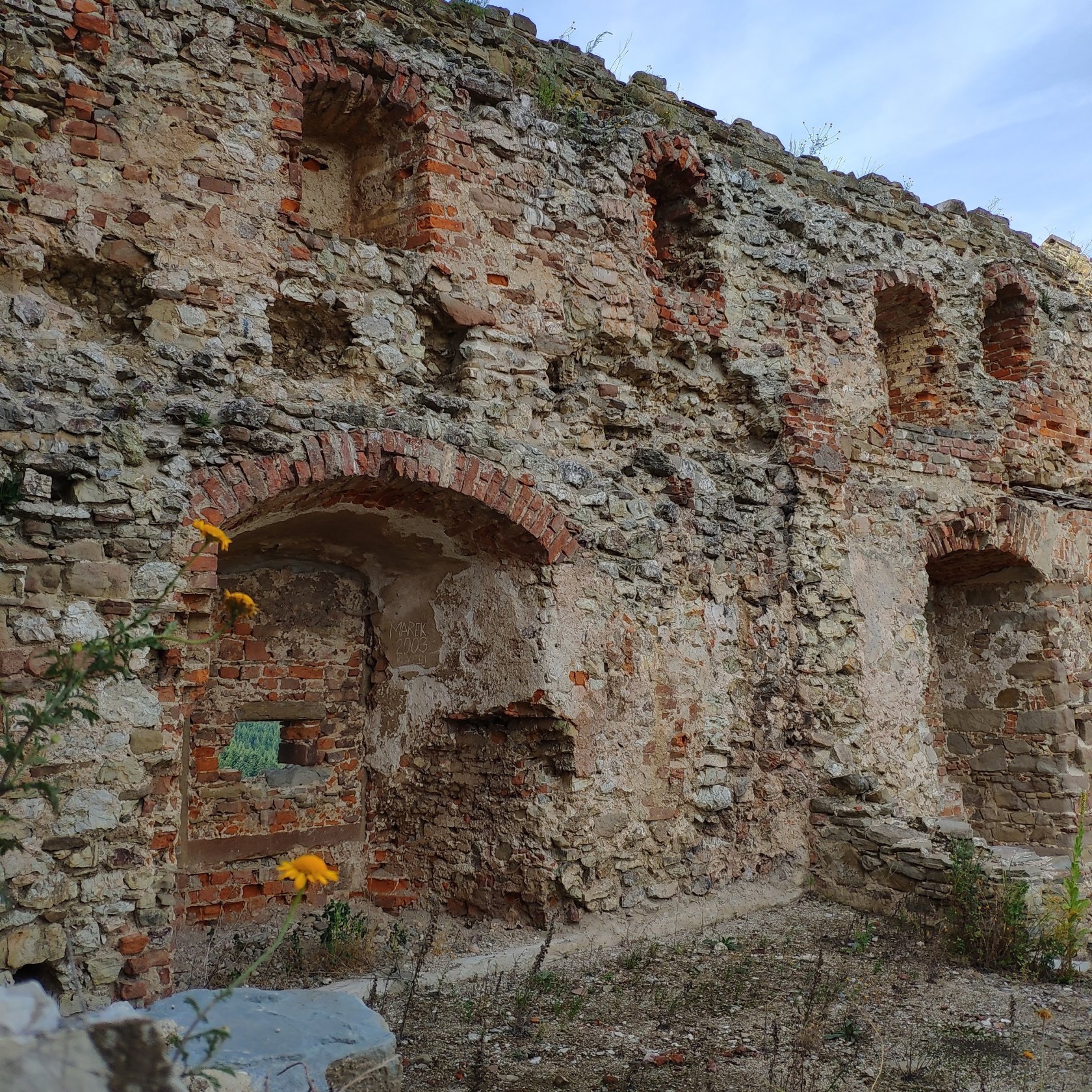 Ľubovniansky hrad