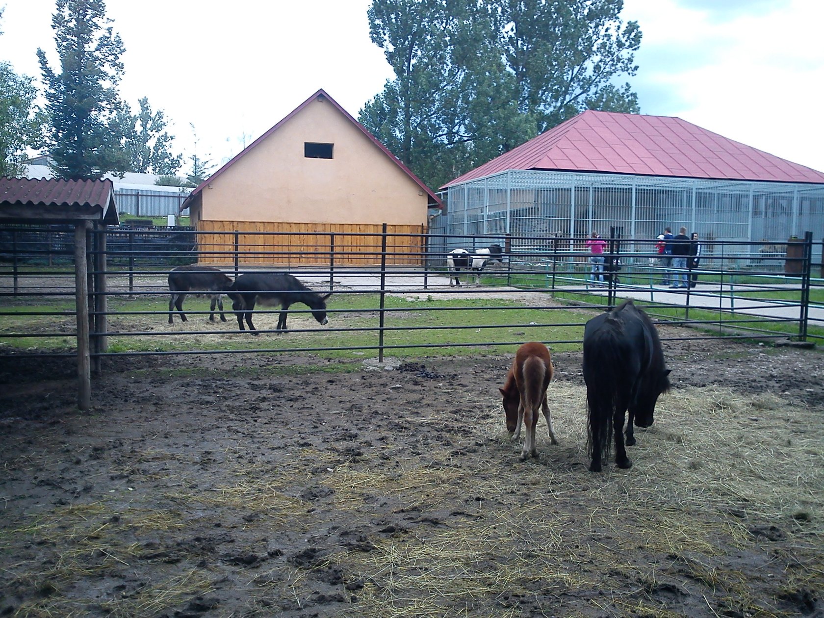 ZOO Spišská Nová Ves