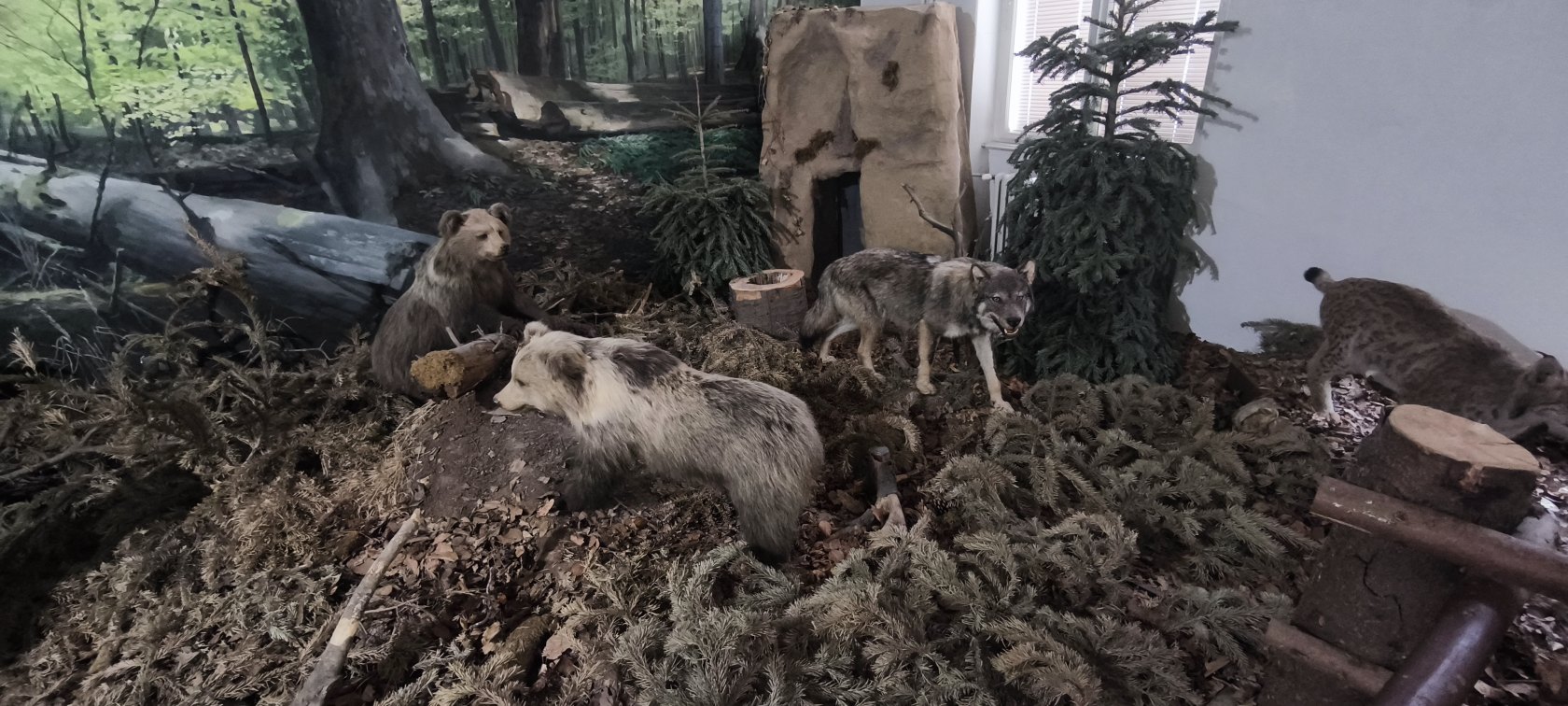 Východoslovenské múzeum – expozícia Príroda Karpát
