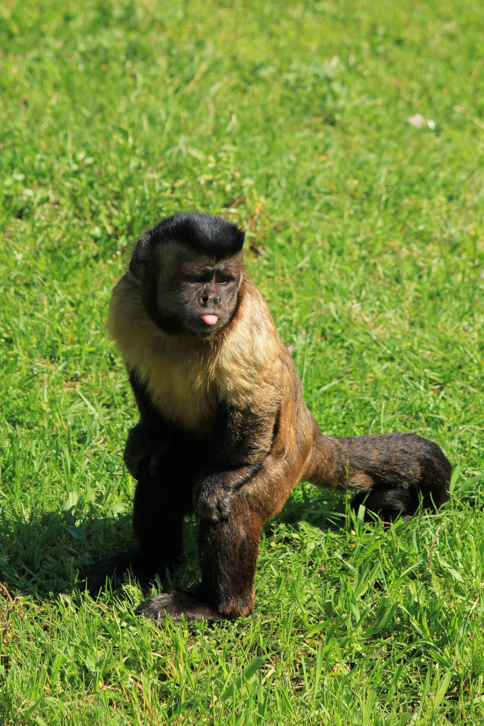ZOO Košice