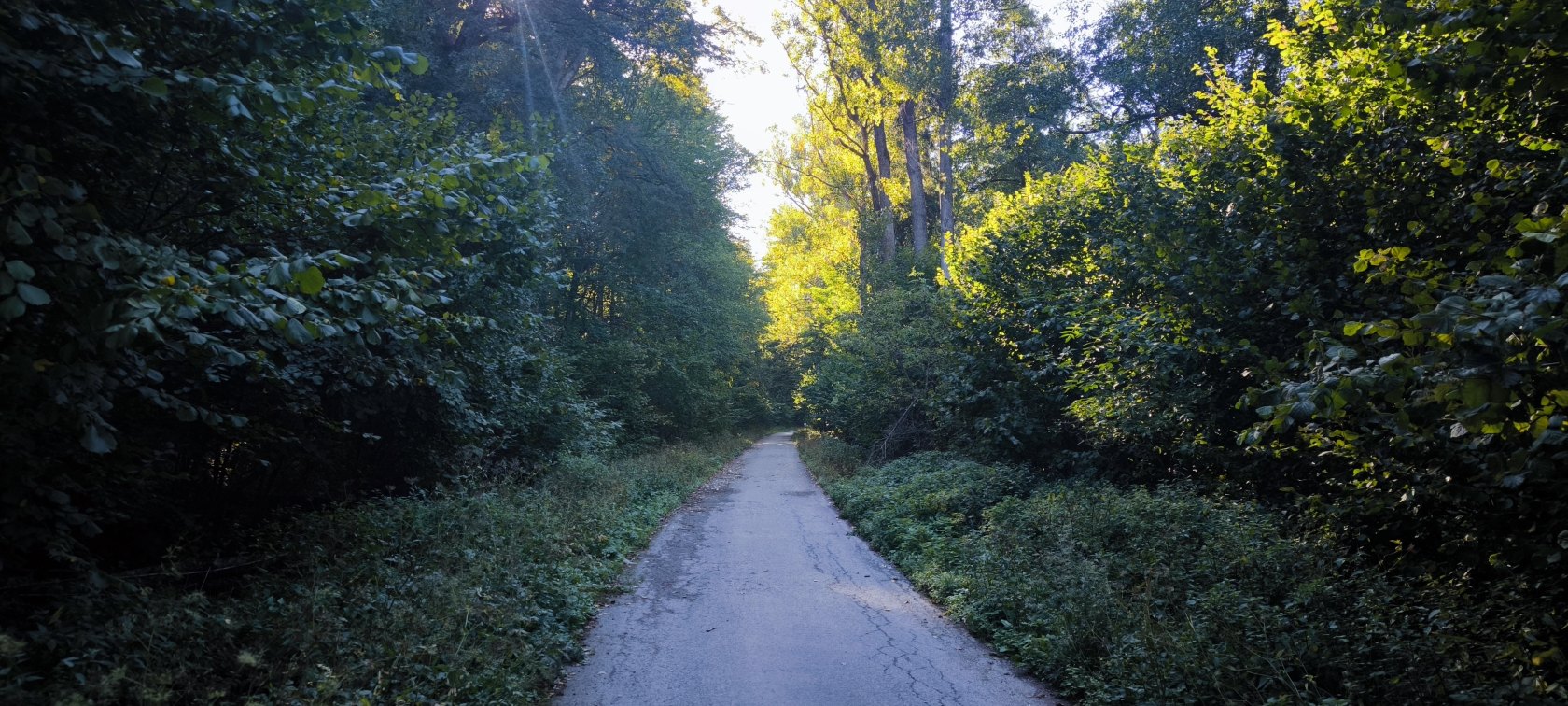 Jasovské rybníky