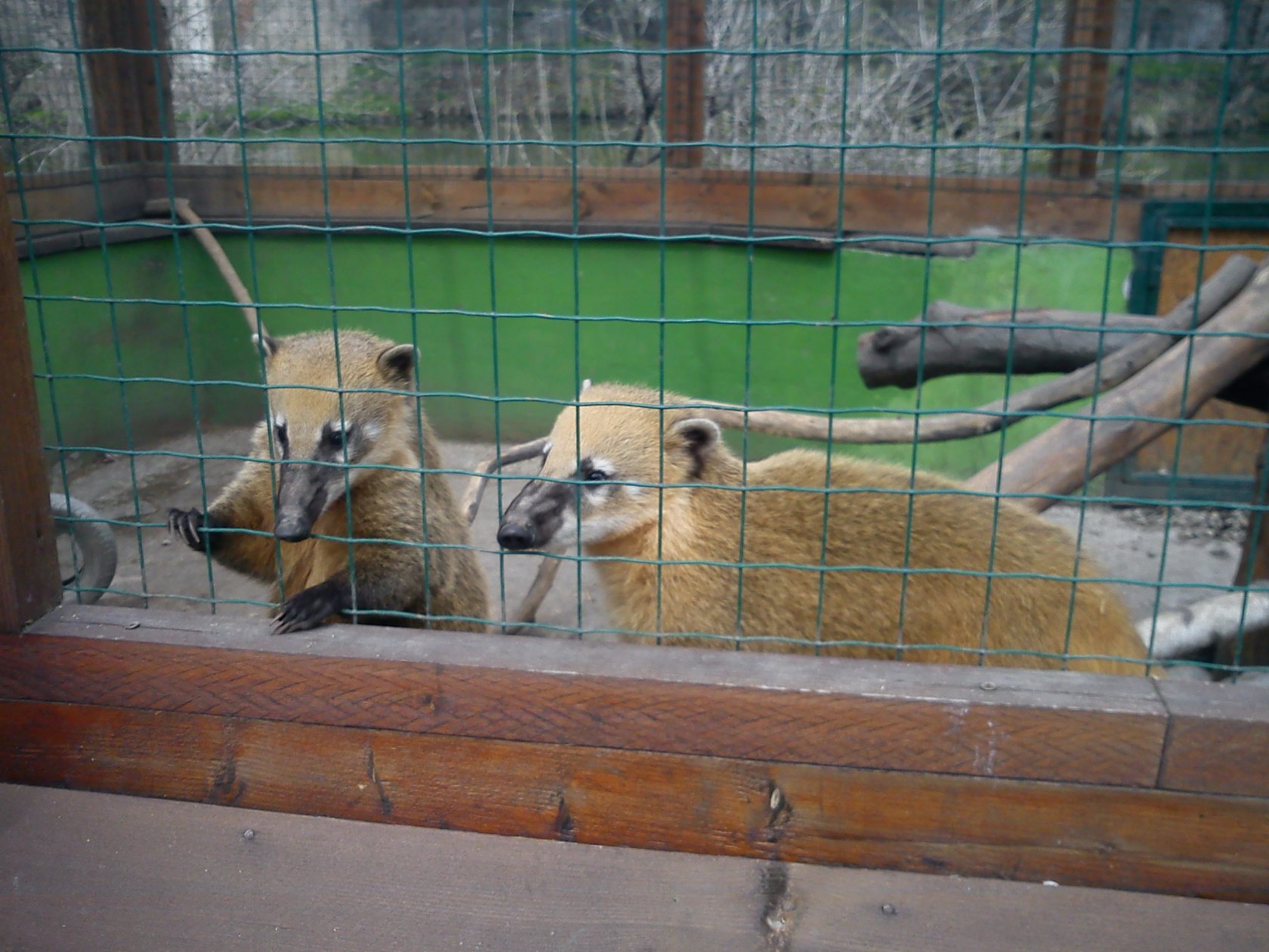 ZOO Spišská Nová Ves
