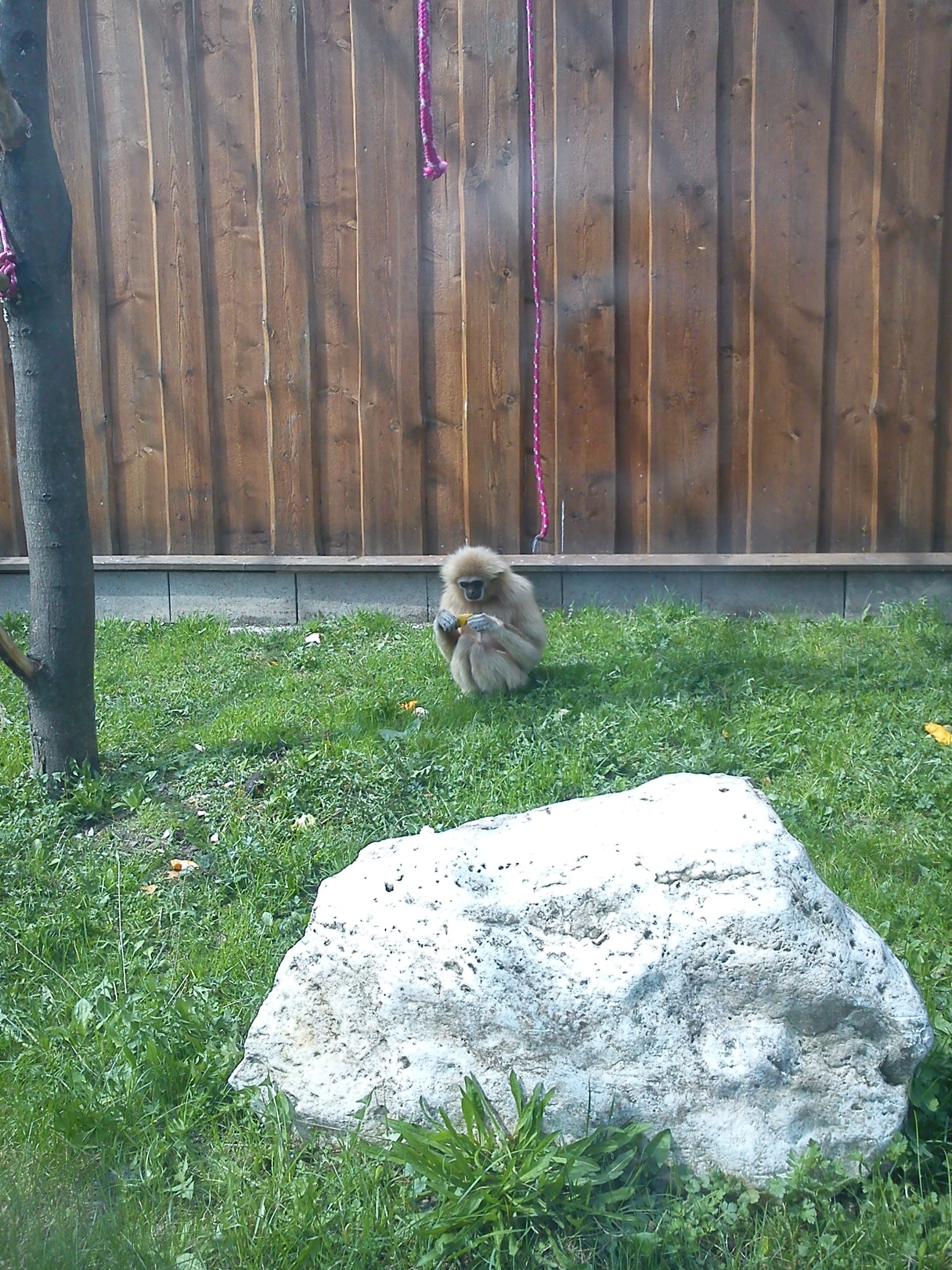 ZOO Spišská Nová Ves