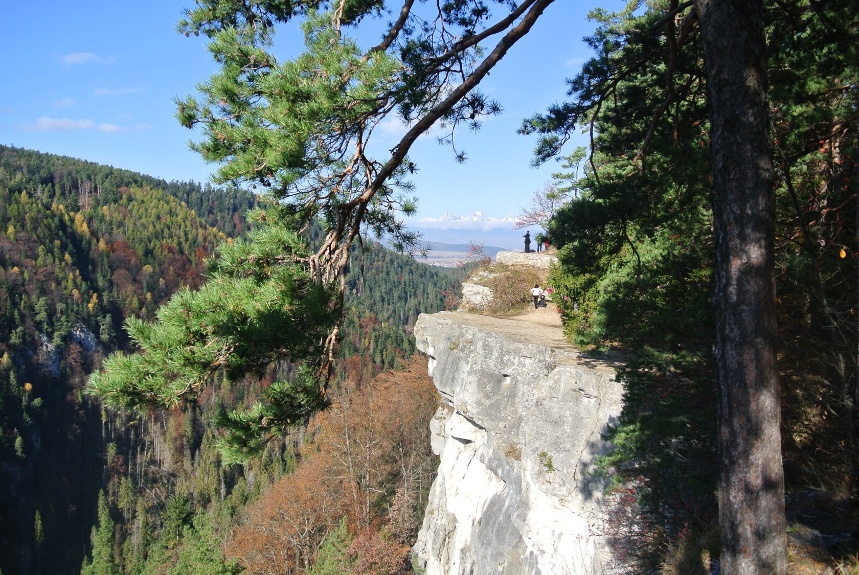 Tomášovský výhľad