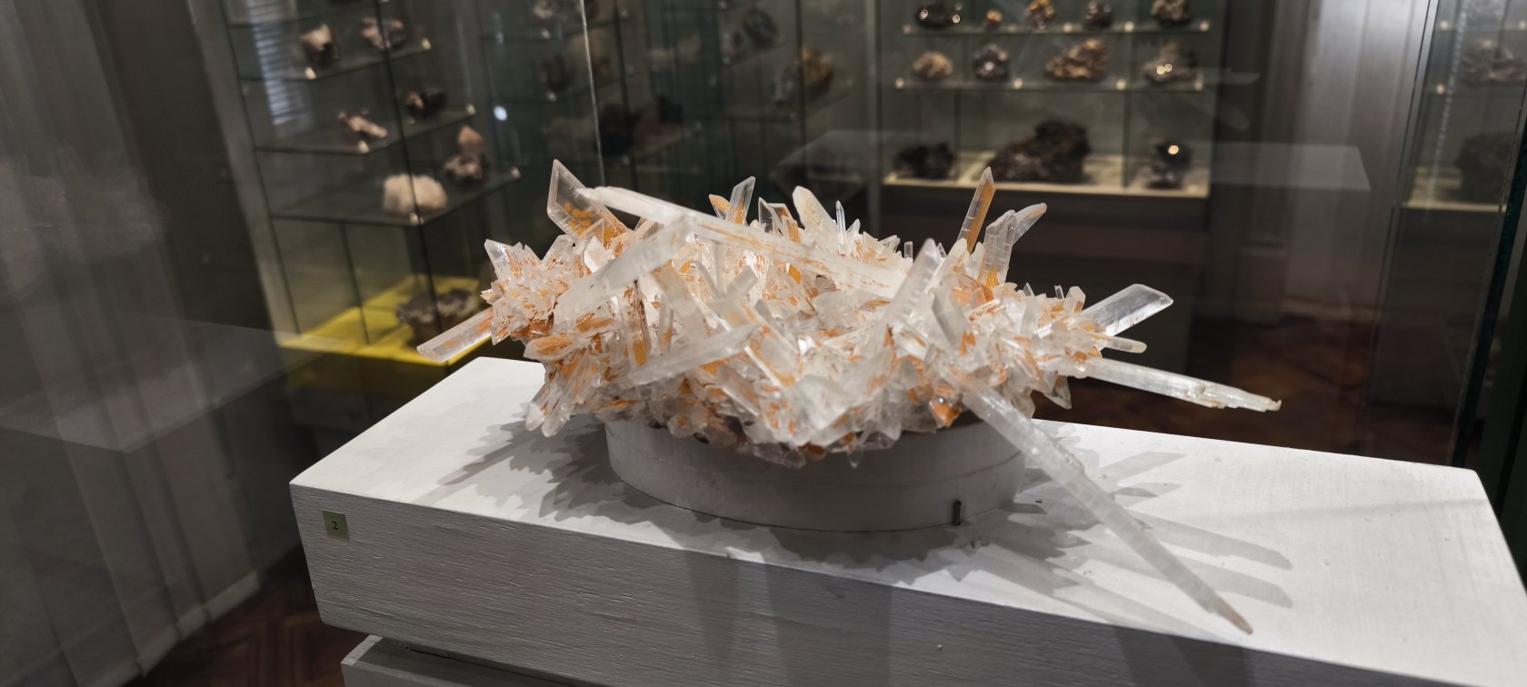 Východoslovenské múzeum – expozícia Príroda Karpát