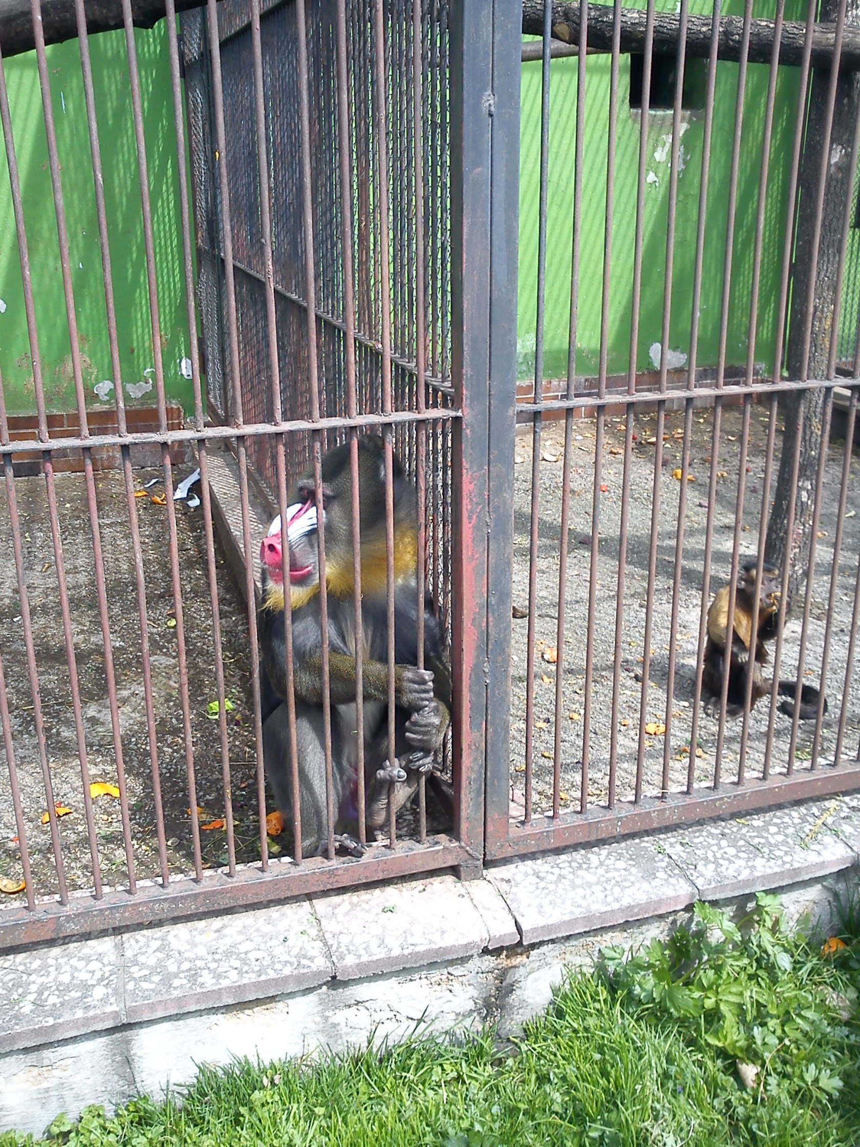 ZOO Spišská Nová Ves