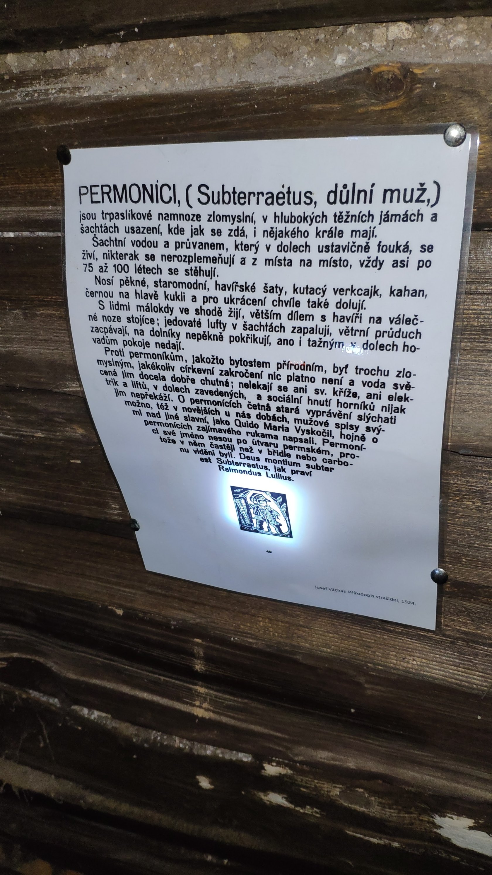 Mincovníčkovo - Podzemie Pod Vežami