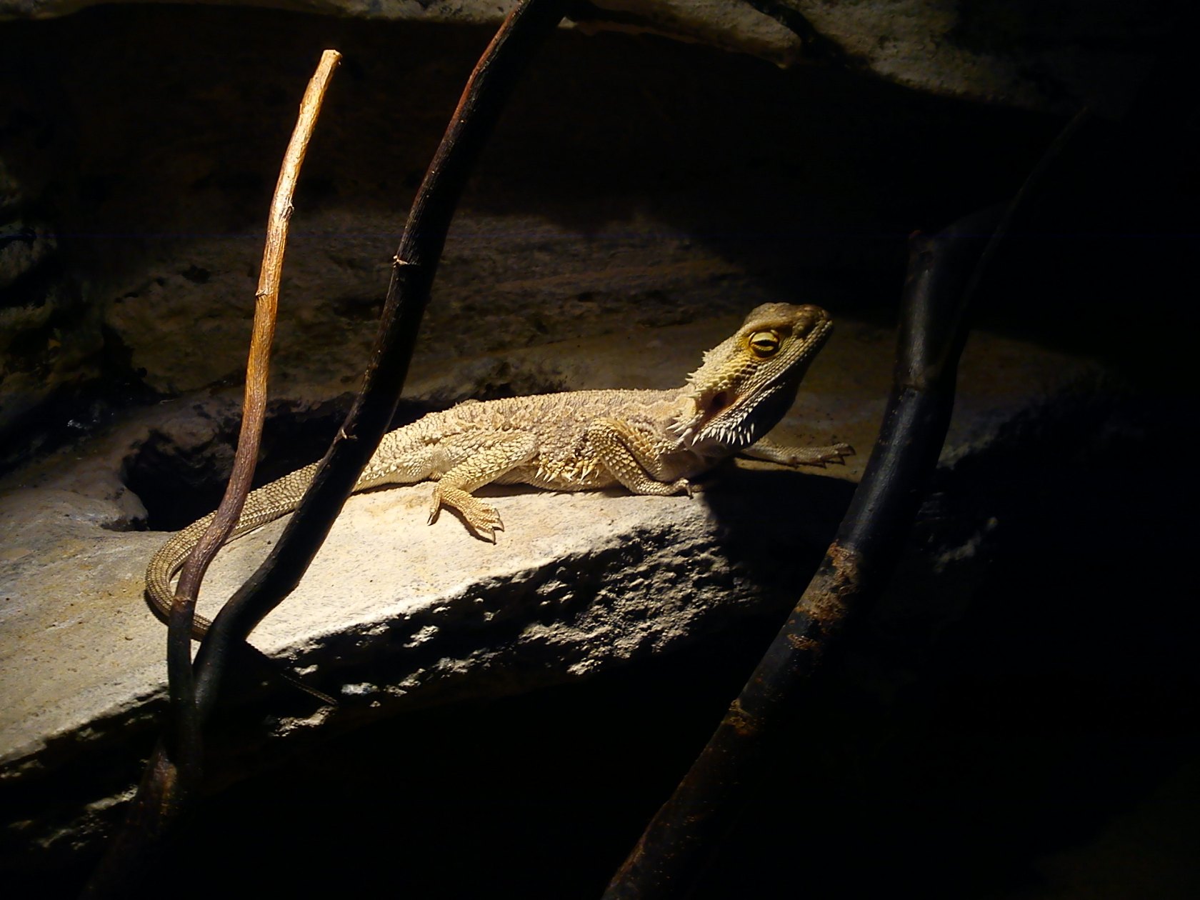 ZOO Spišská Nová Ves