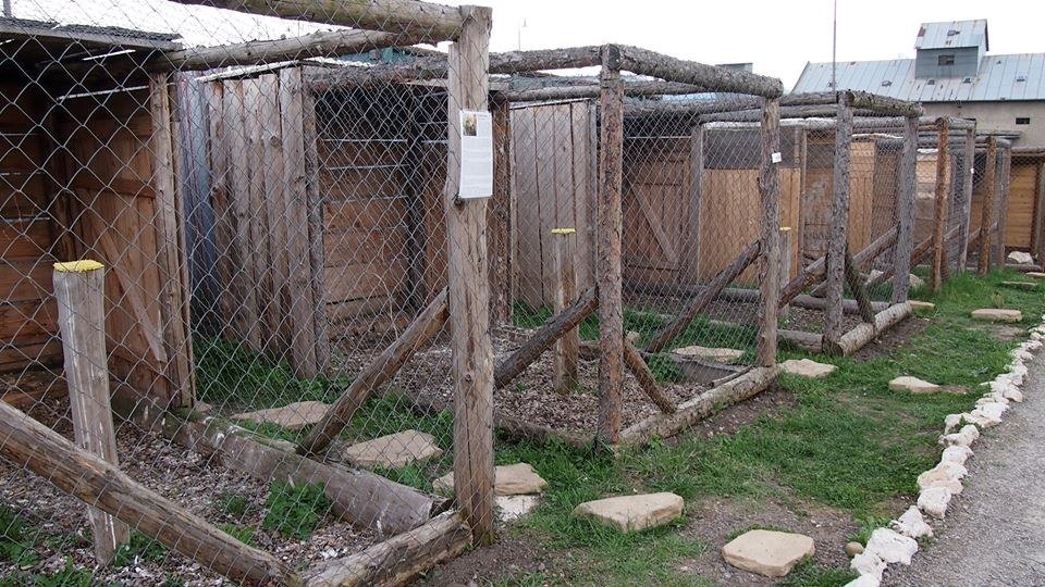 Sokoliareň pod Spišským hradom
