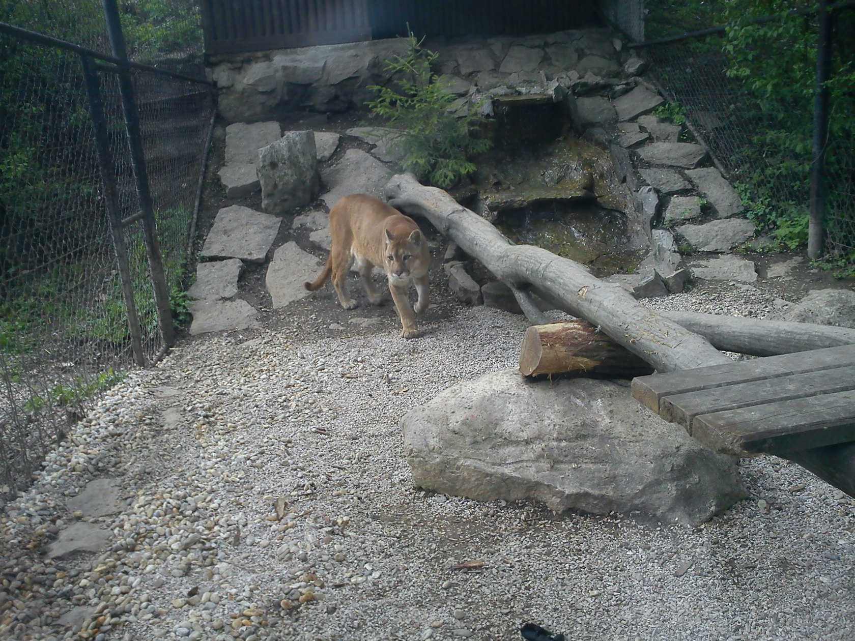 ZOO Spišská Nová Ves