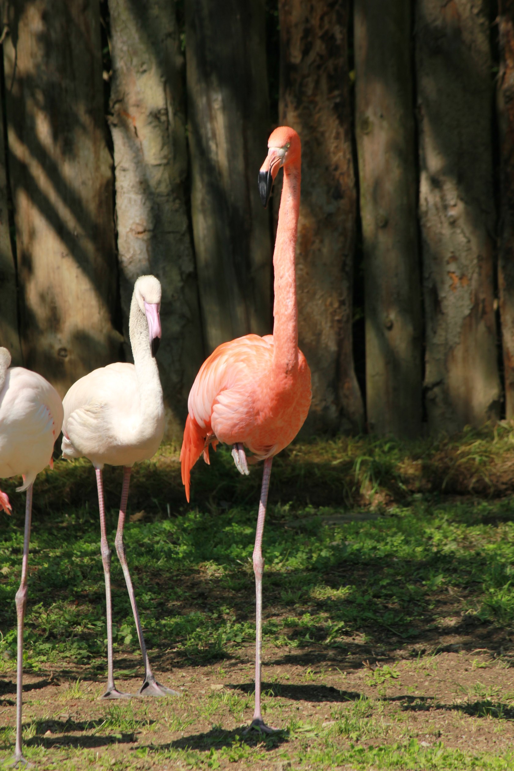 ZOO Košice