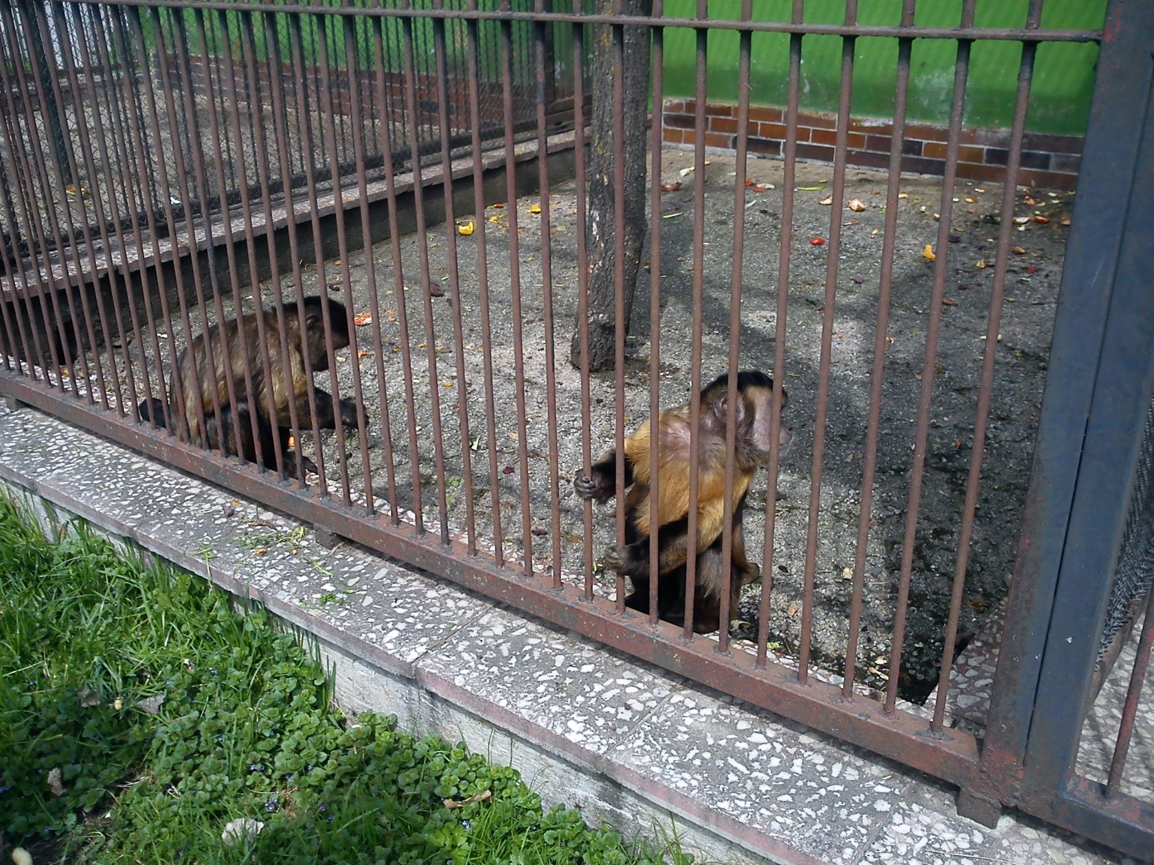ZOO Spišská Nová Ves