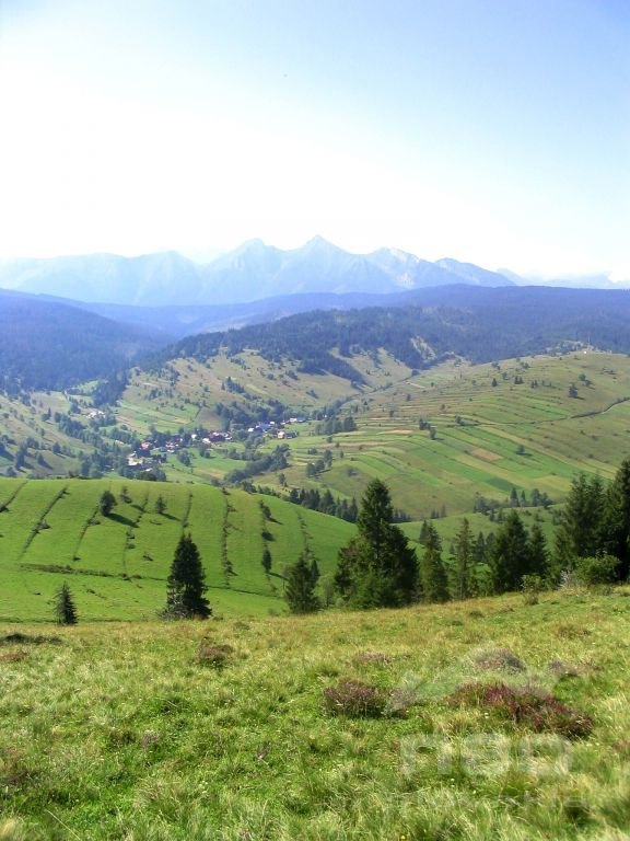 Osturňa