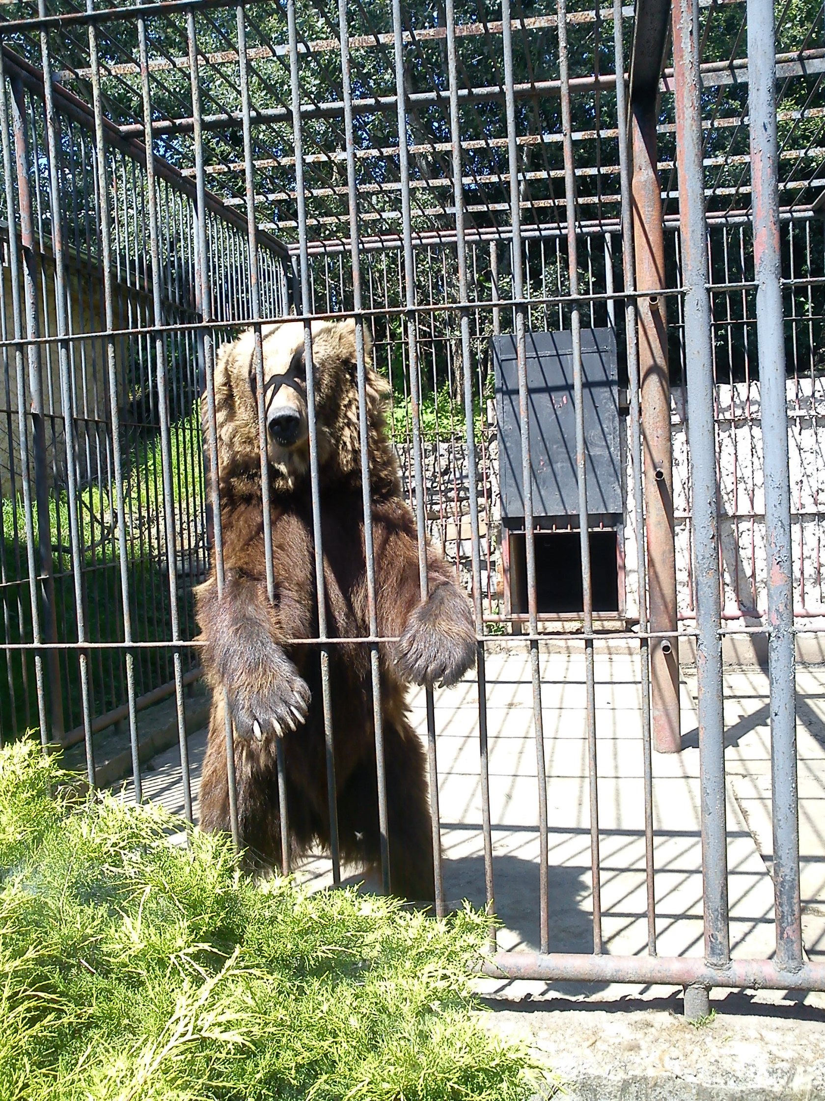 ZOO Spišská Nová Ves