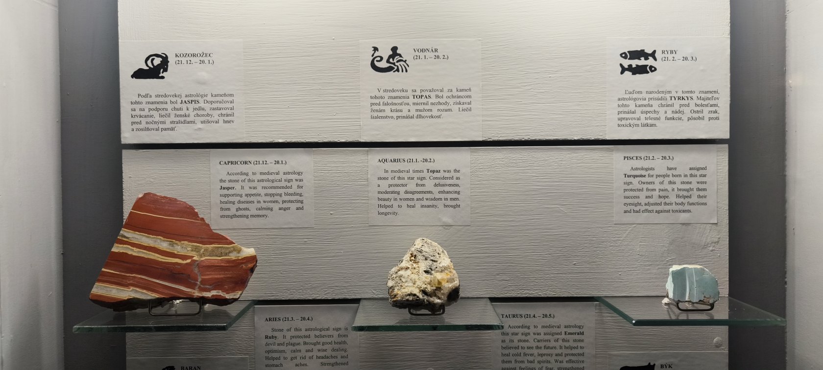 Východoslovenské múzeum – expozícia Príroda Karpát