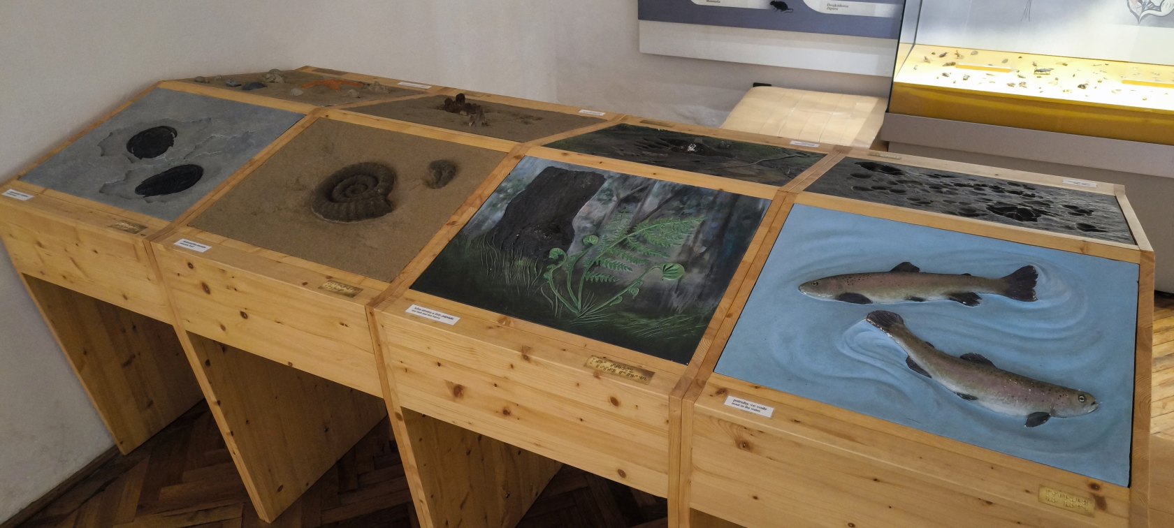 Východoslovenské múzeum – expozícia Príroda Karpát