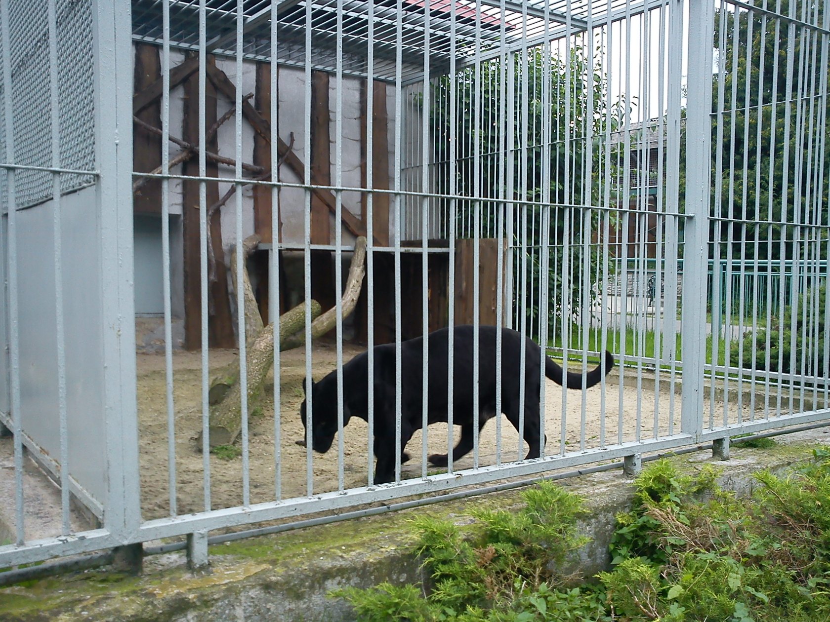 ZOO Spišská Nová Ves