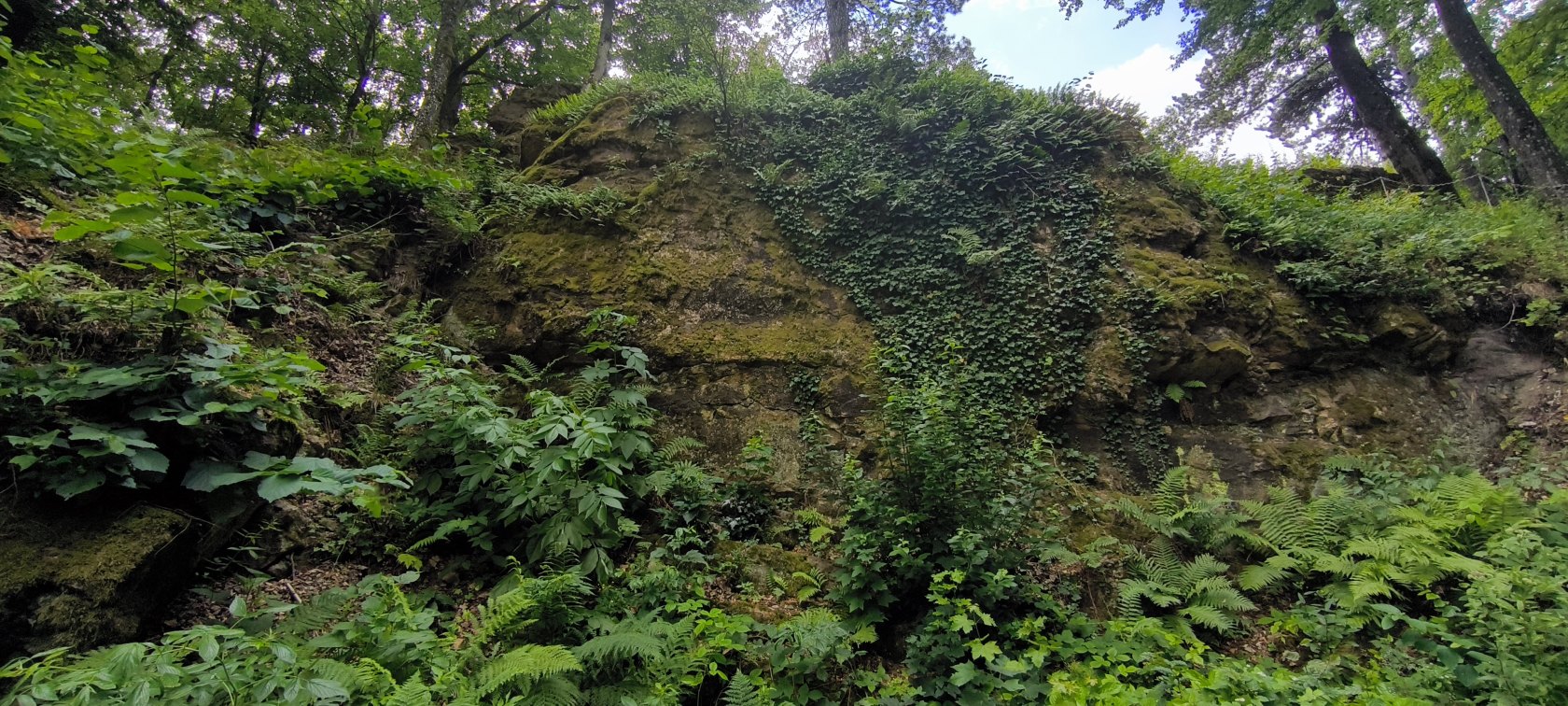 Košický hrad