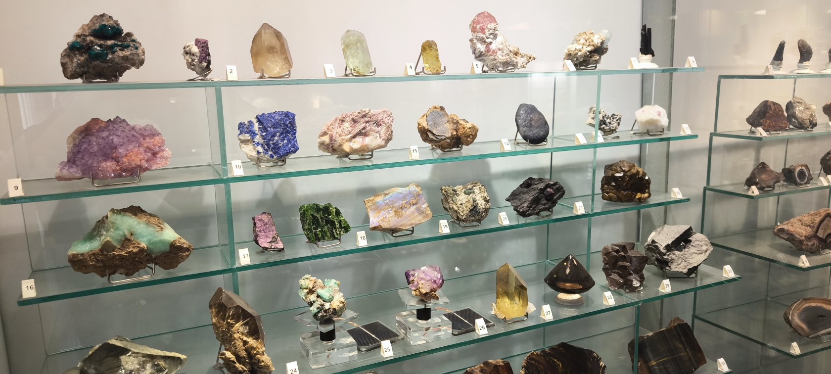 Východoslovenské múzeum – expozícia Príroda Karpát